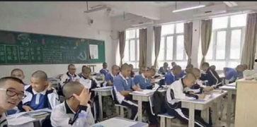 平乡学校事件爆料最新,揭开校园暴力背后的真相与反思  第3张